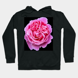 Large Pink Rose Hoodie